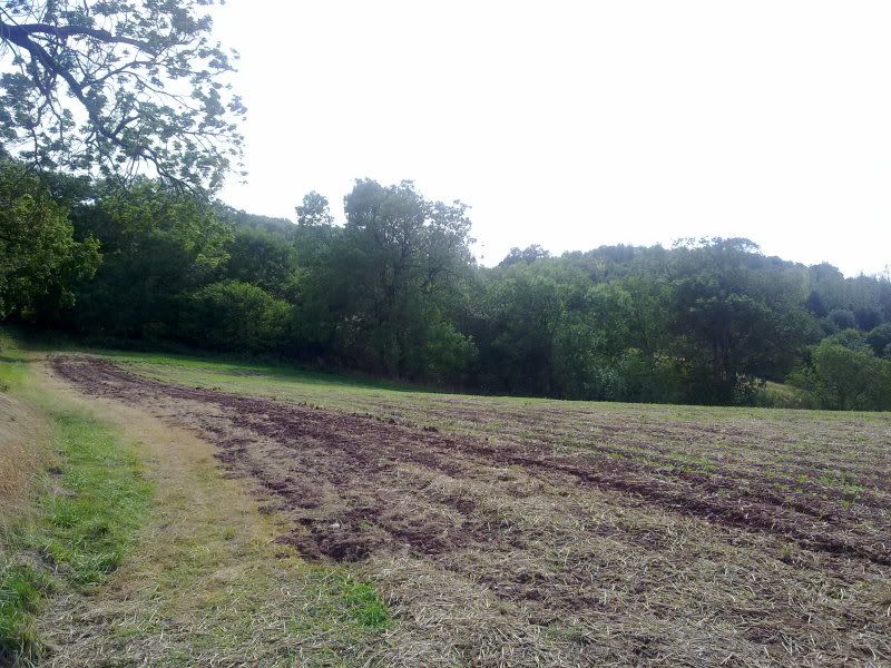12092011146.jpg