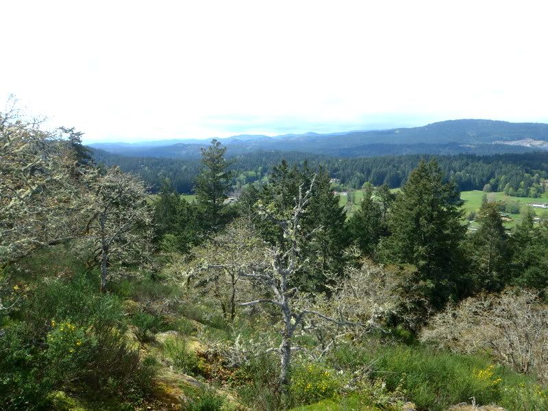 011-001.jpg