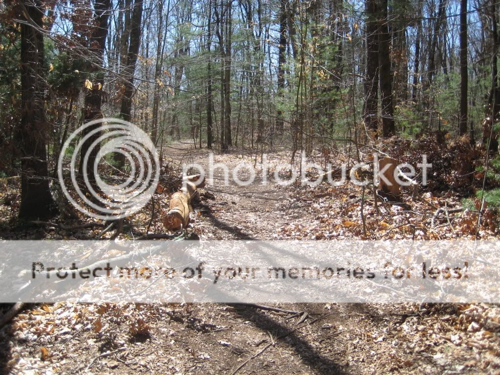 IMG_2076.jpg