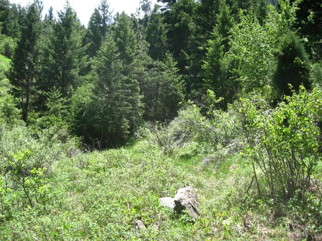 IMG_5497.jpg
