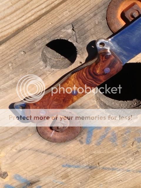 imageMA28159360-0023_zps38e3557e.jpeg