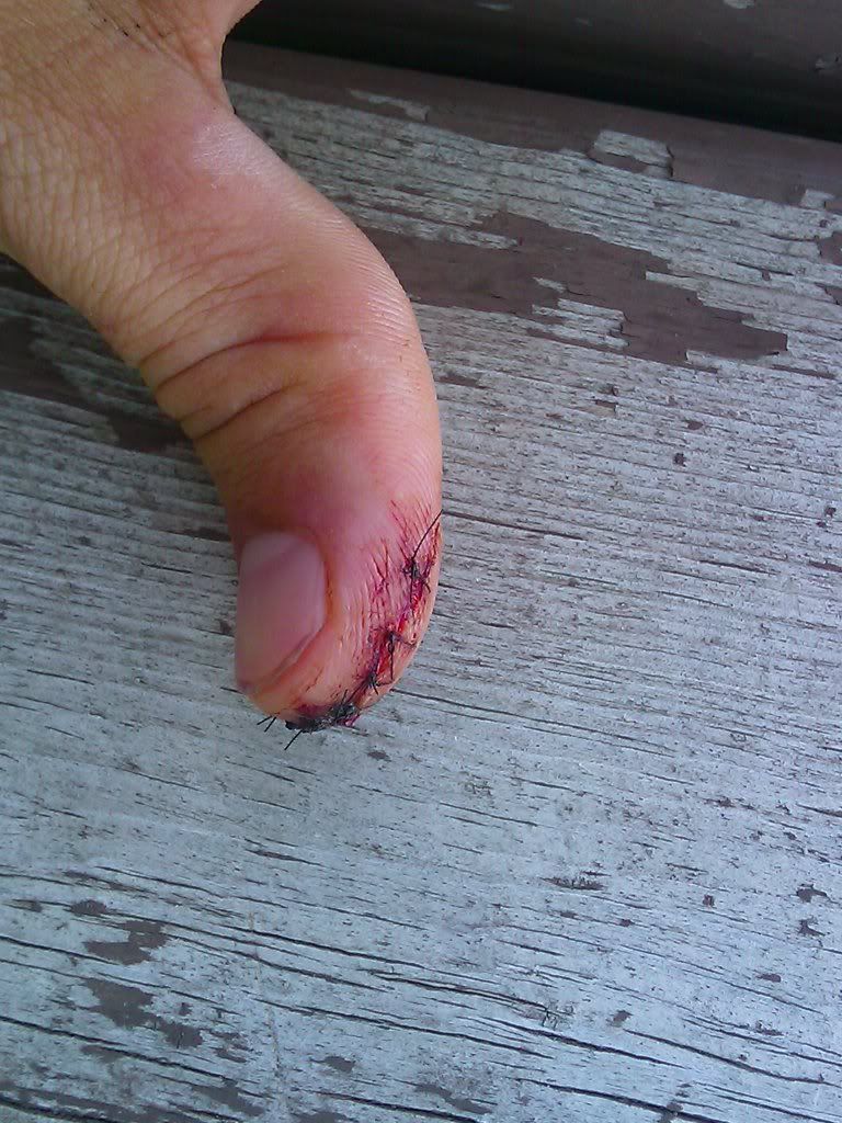 IMAG0134.jpg