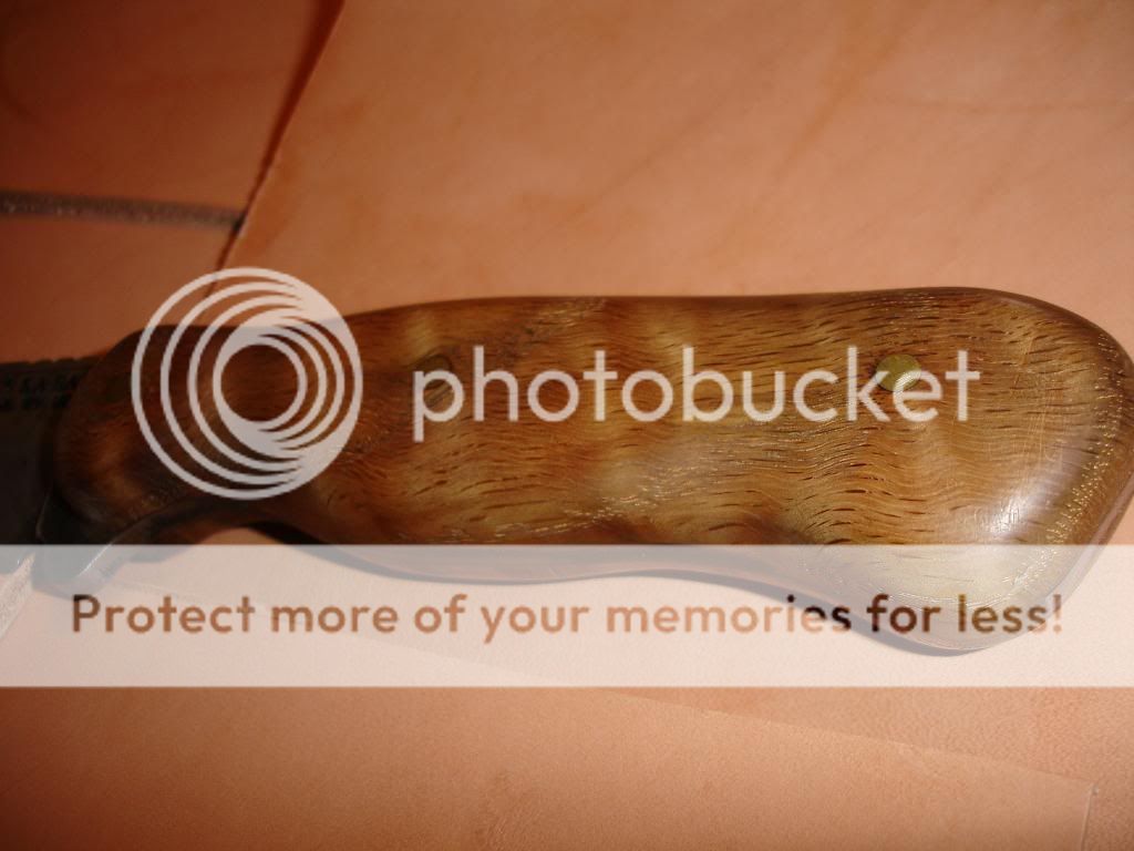 DSC09780_zps8f677e01.jpg