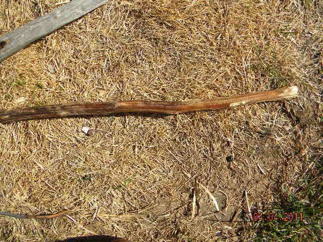 DSCN3576.jpg
