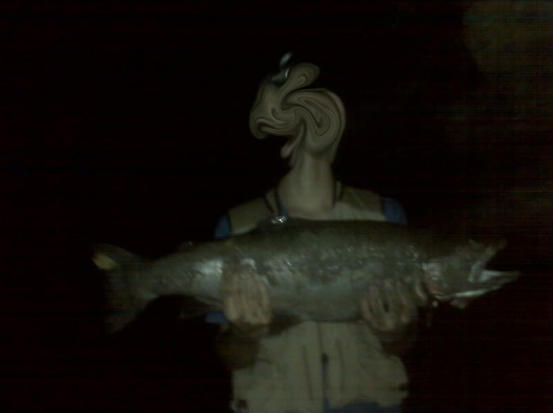 steelhead.jpg