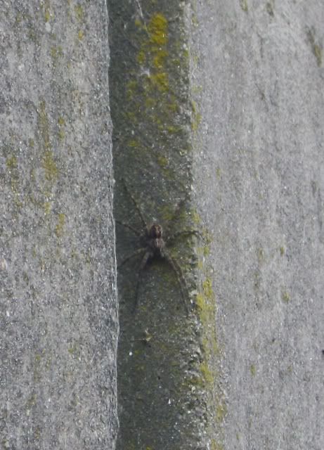 PICT0350.jpg