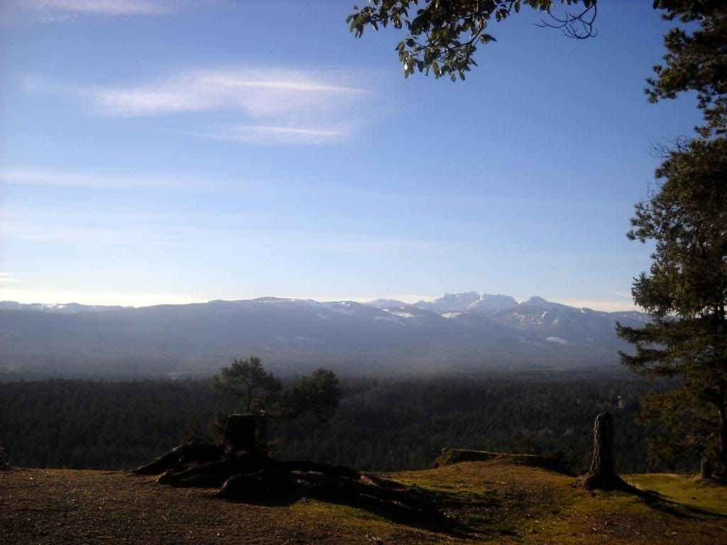 DSCN0318.jpg