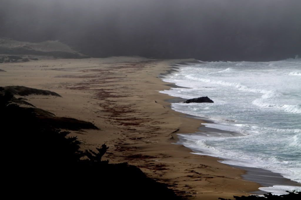 MFBigSur014.jpg