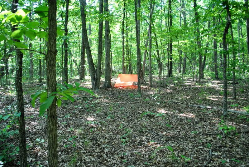 DSC_2206.jpg