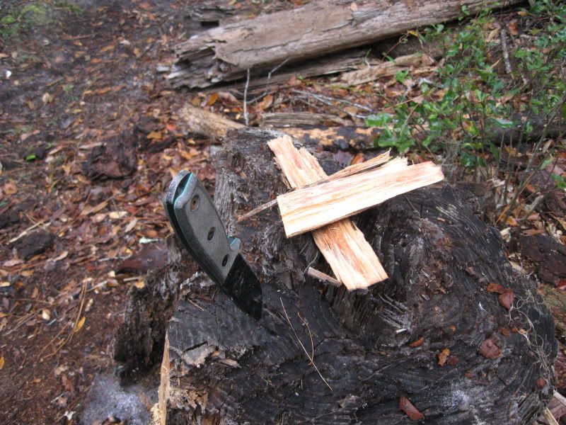 Fatlighter026.jpg