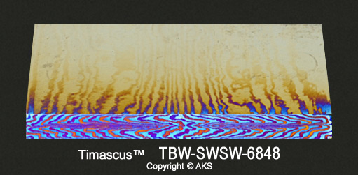 TBW-SWSW-6848-s.jpg
