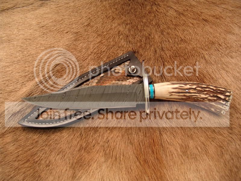 pics227.jpg