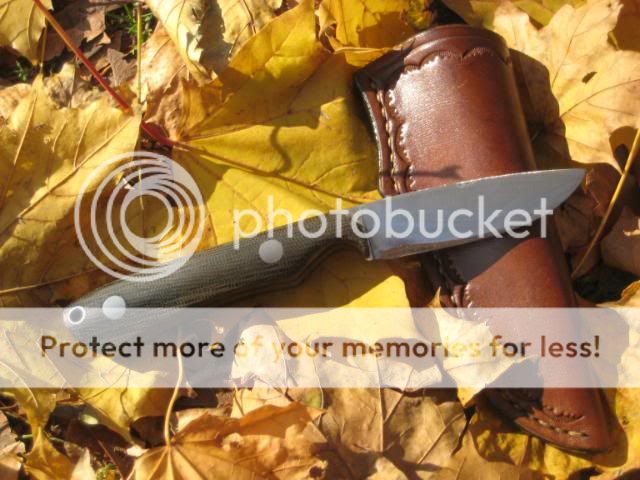 IMG_1069.jpg