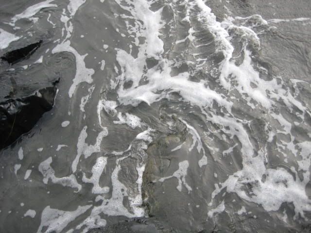 fishboatbay030.jpg