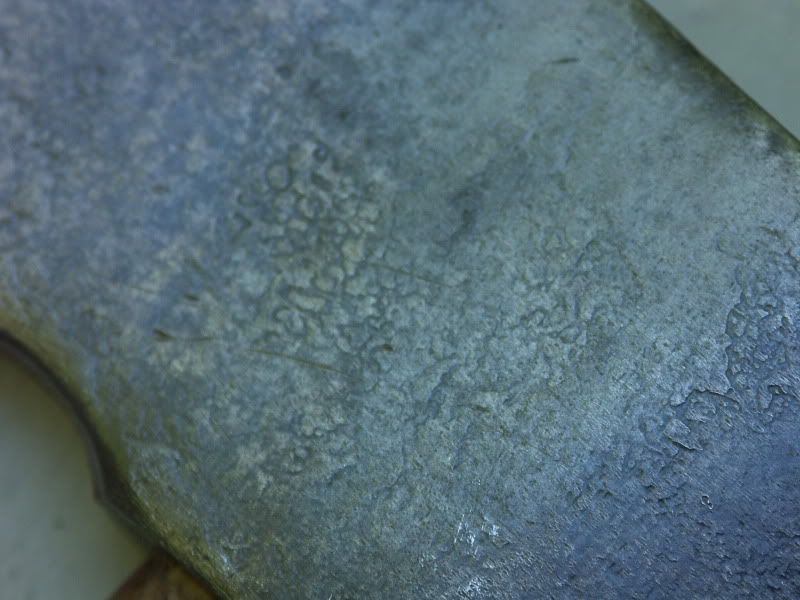 PICT0006.jpg