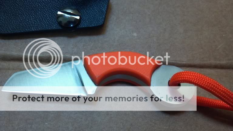 photobucket-2839-1332809927931.jpg