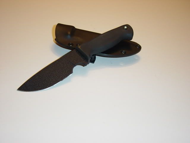 DSC01769.jpg