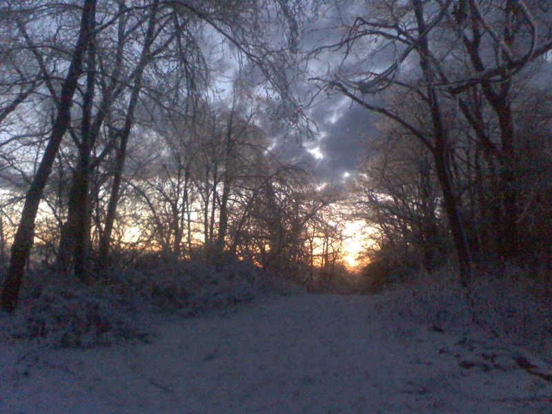 img042.jpg