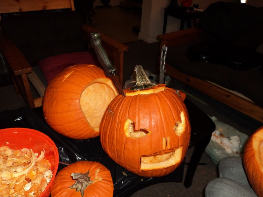 DSC00859.jpg