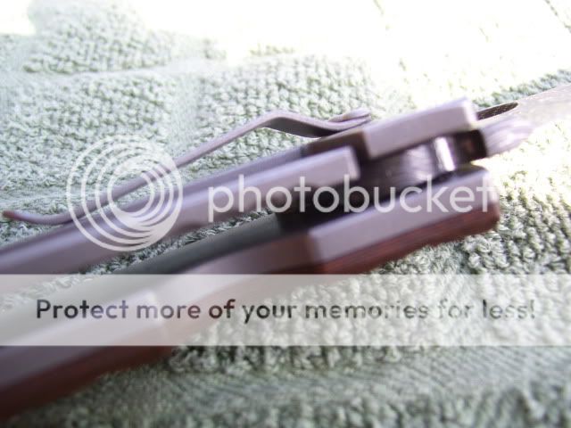 100_1585.jpg