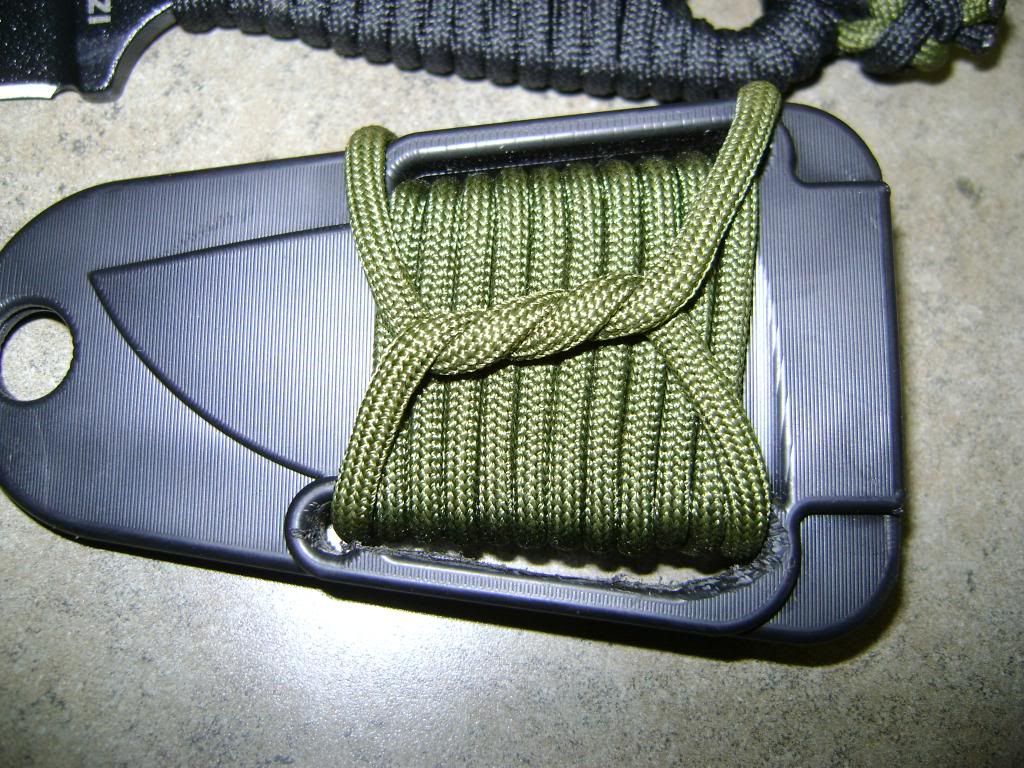 DSC02404.jpg