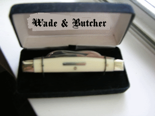 WadeButcherCongress_zps4f50e4a2.gif