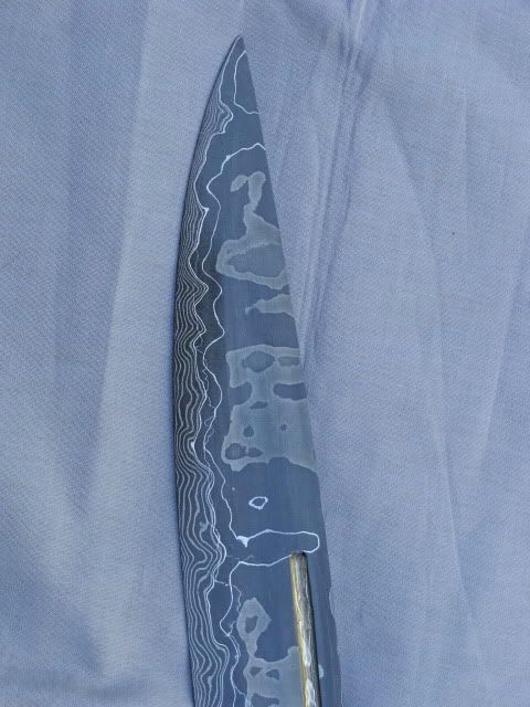 DSC01885.jpg