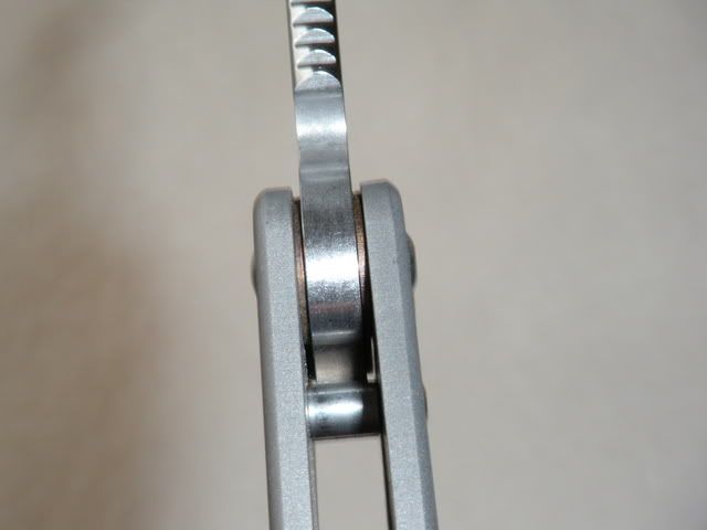 DSCN0169.jpg
