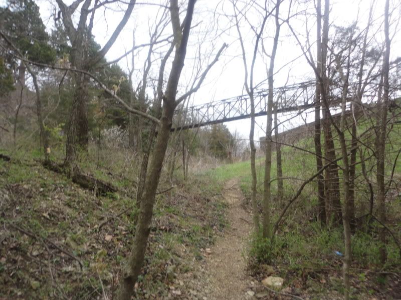 springfork005.jpg