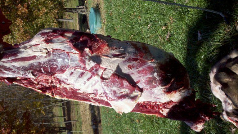 photobucket-2718-1321372182089.jpg