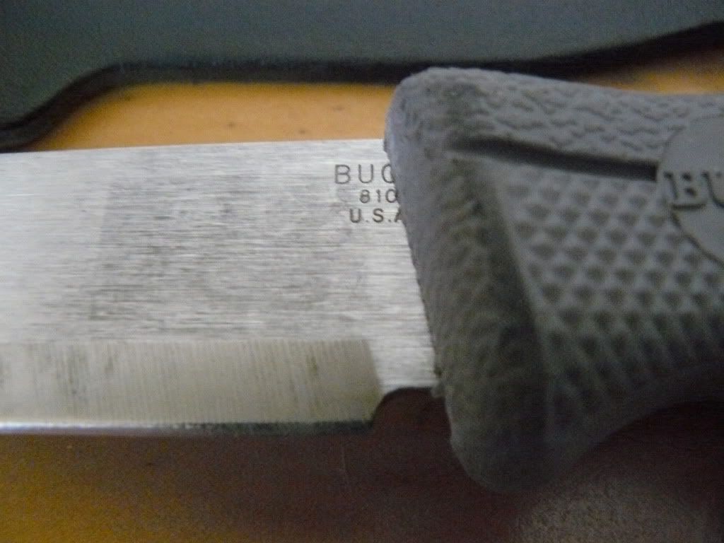 P1050336.jpg