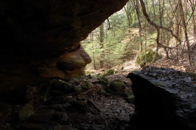 DSC_0071.jpg