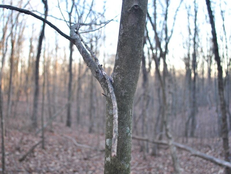 DSC_9491.jpg