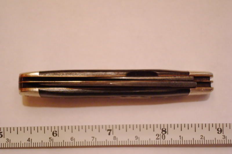 DSC00743.jpg