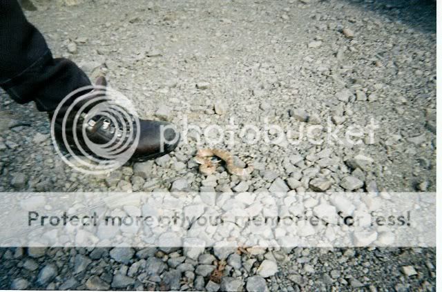 photo-1.jpg