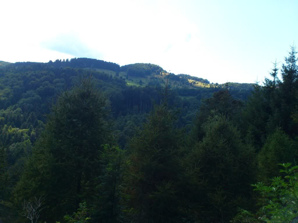 DSC_0693.jpg