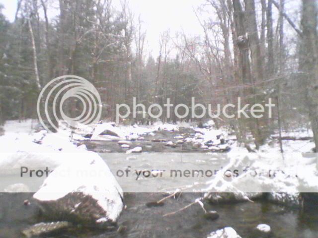 Picture019-1.jpg