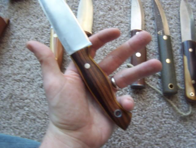 100_0559.jpg