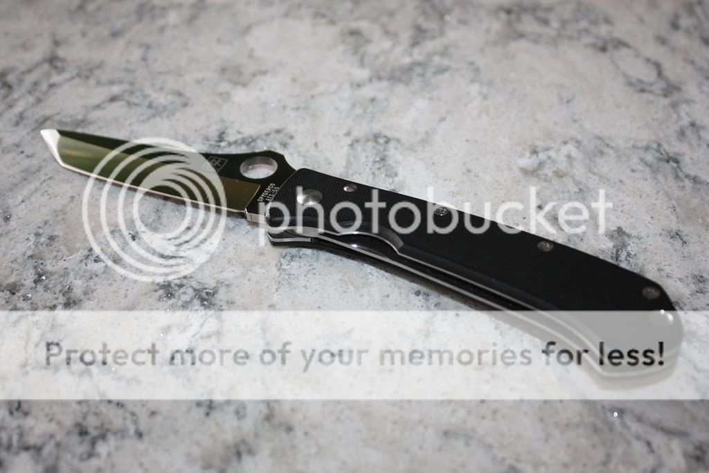 IMG_9274_zpsxnfch9s0.jpg