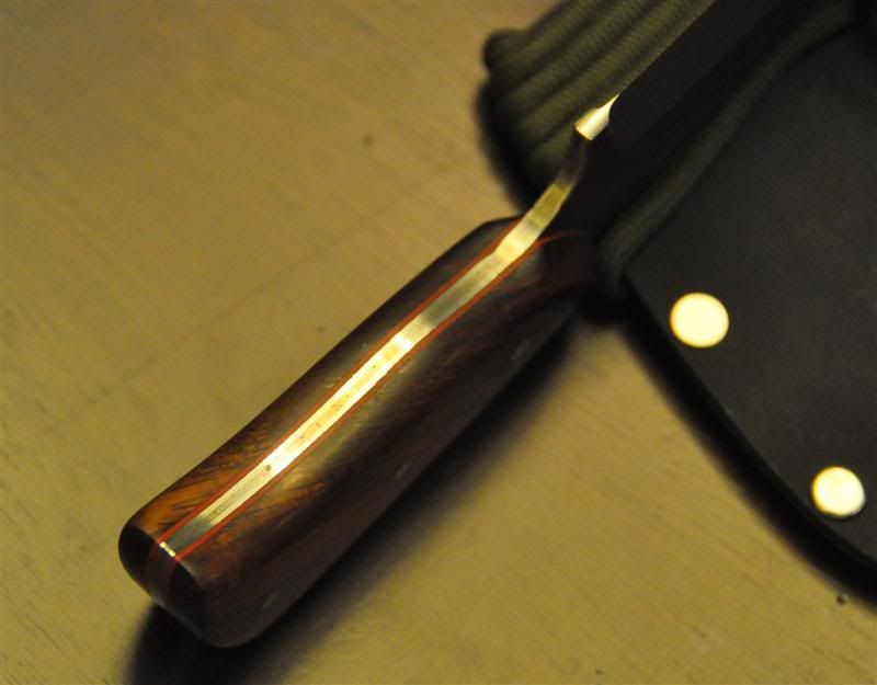 DSC_8170Medium.jpg
