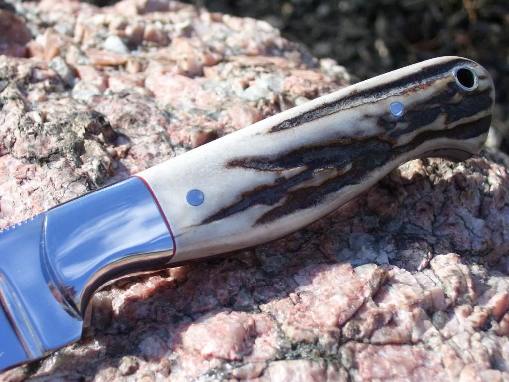 stagknifeandblackboxelder013.jpg