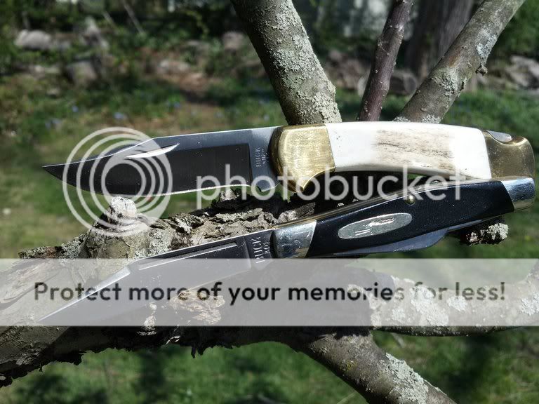 photobucket-24384-1334606183717.jpg