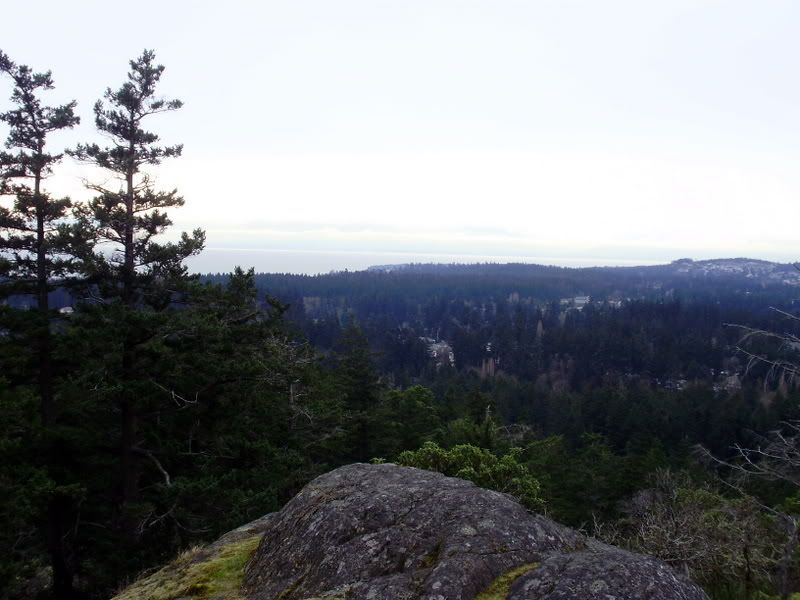 P2230007-1.jpg
