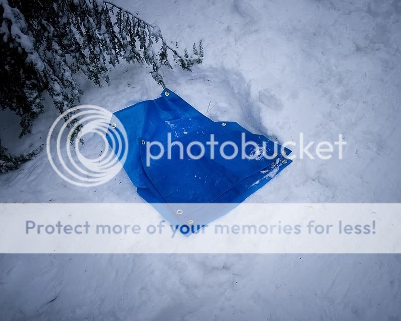 IMG_2893.jpg
