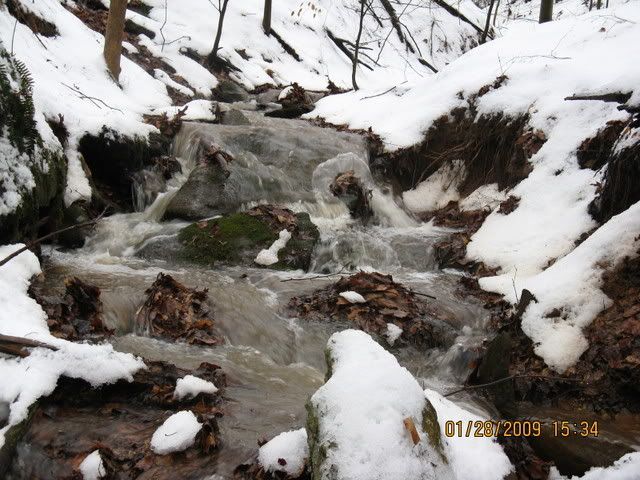 snowdayforthepets065.jpg