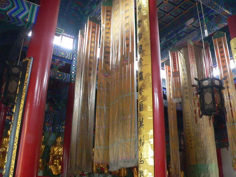 P1400566.jpg