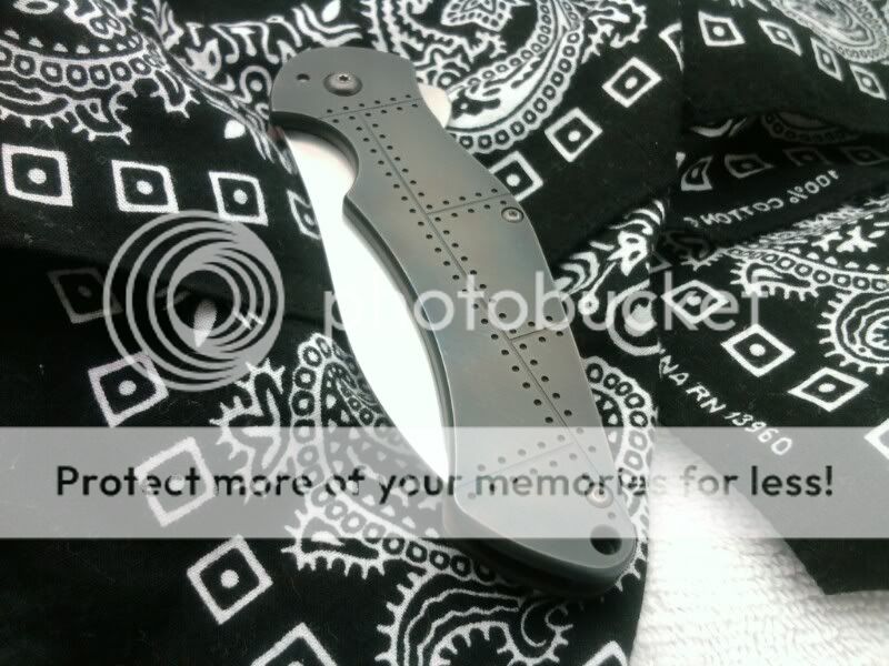 1299272064-picsay.jpg