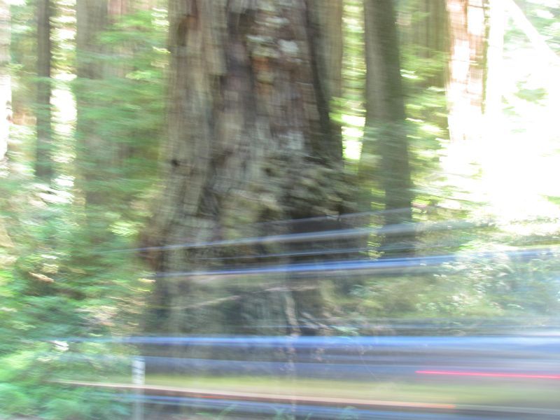 19_zpsc434c0c5.jpg