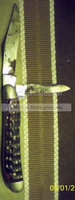 CasePeanutrearphoto.jpg