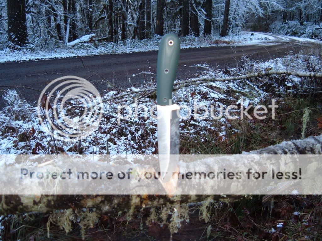 BigGreenScandi.jpg